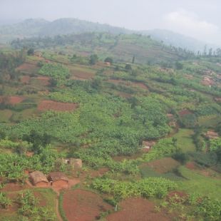 Eine_typische_Streusiedlung_im_laendlichen_Raum_Rwandas.jpg